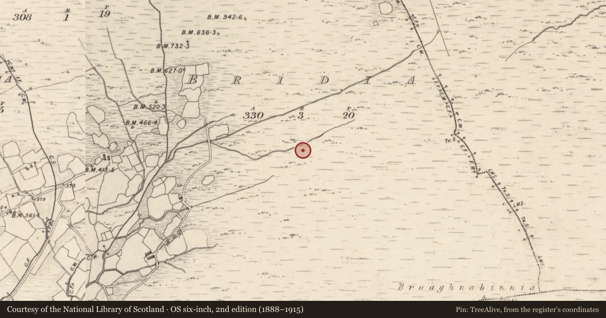 Ordnance Survey six-inch map, 2nd edition (1888–1915) covering the location of Hut site, Bridia, County Kerry, with a pin at the register's coordinates