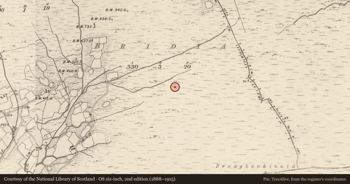 Ordnance Survey six-inch map, 2nd edition (1888–1915) covering the location of Hut site, Bridia, County Kerry, with a pin at the register's coordinates