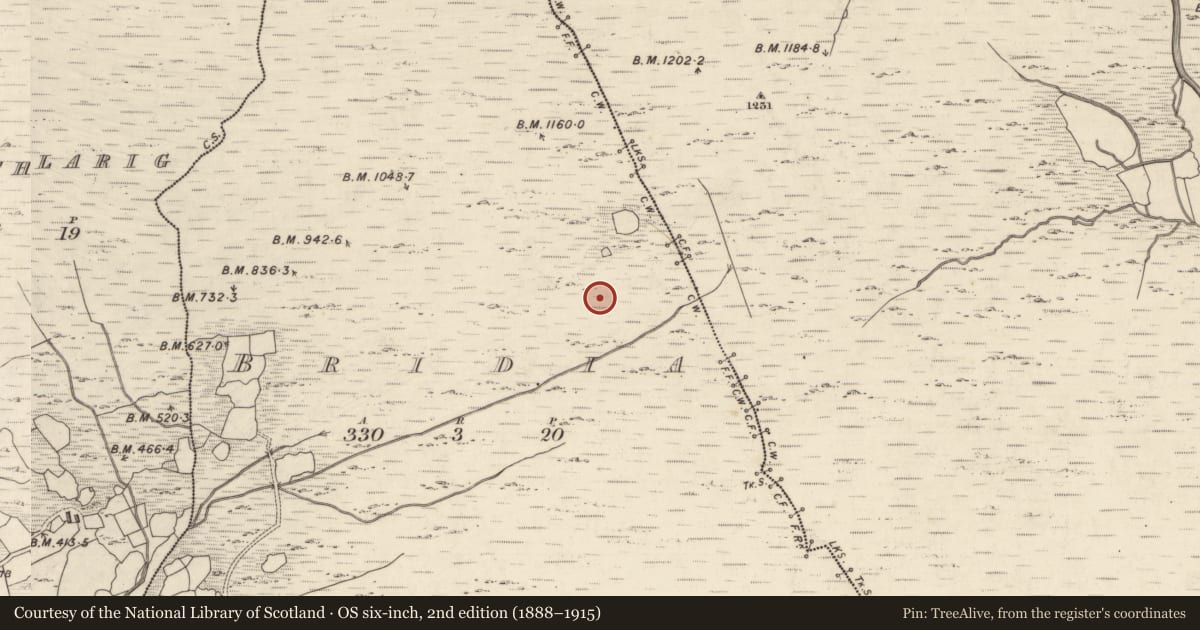 Ordnance Survey six-inch map, 2nd edition (1888–1915) covering the location of Enclosure, Bridia, County Kerry, with a pin at the register's coordinates