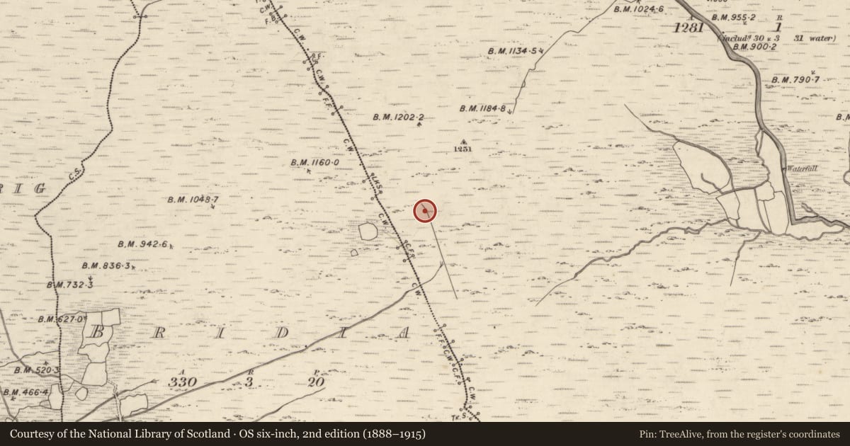 Ordnance Survey six-inch map, 2nd edition (1888–1915) covering the location of Hut site, Curragh More, County Kerry, with a pin at the register's coordinates