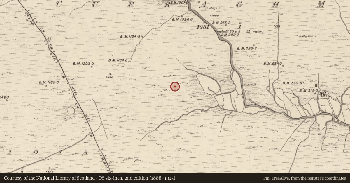 Ordnance Survey six-inch map, 2nd edition (1888–1915) covering the location of Hut site, Curragh More, County Kerry, with a pin at the register's coordinates