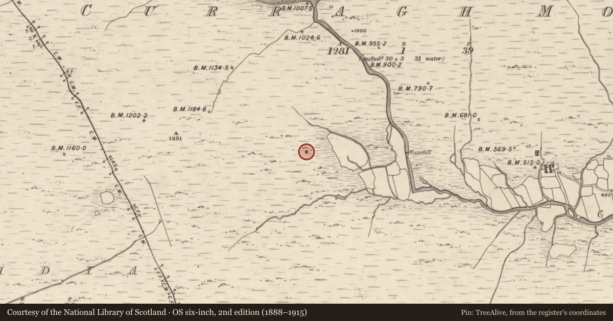 Ordnance Survey six-inch map, 2nd edition (1888–1915) covering the location of Hut site, Curragh More, County Kerry, with a pin at the register's coordinates