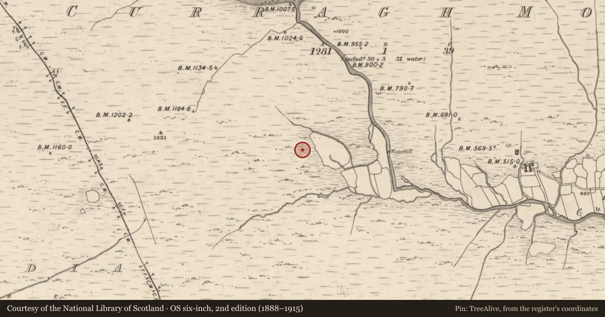 Ordnance Survey six-inch map, 2nd edition (1888–1915) covering the location of Hut site, Curragh More, County Kerry, with a pin at the register's coordinates