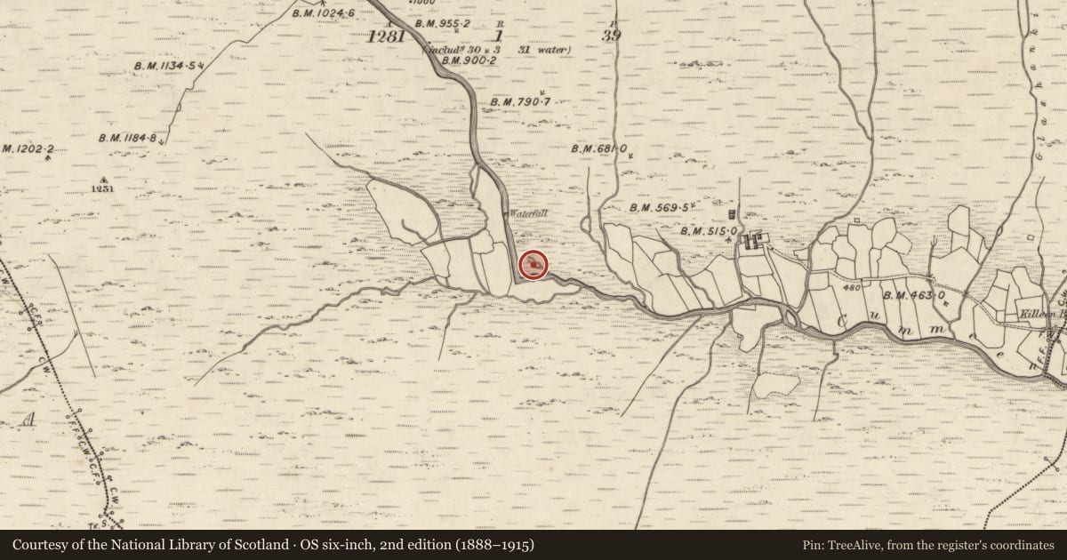 Ordnance Survey six-inch map, 2nd edition (1888–1915) covering the location of Hut site, Curragh More, County Kerry, with a pin at the register's coordinates