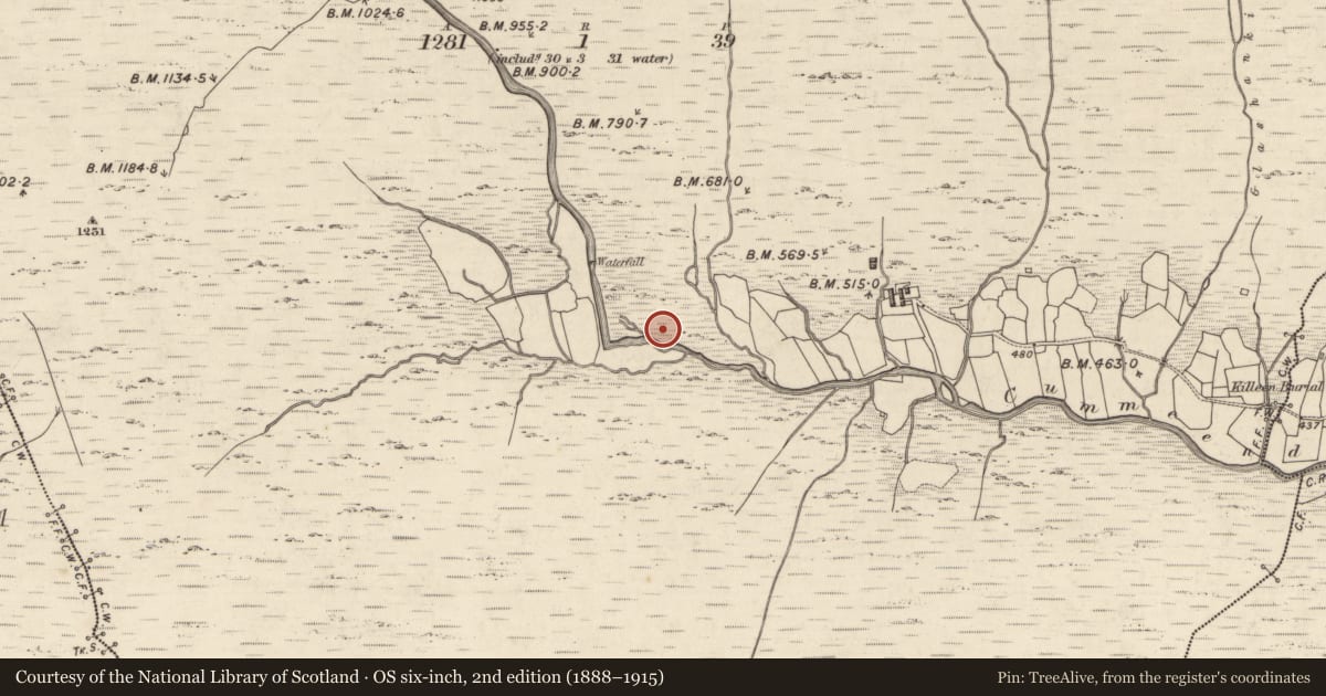 Ordnance Survey six-inch map, 2nd edition (1888–1915) covering the location of Hut site, Curragh More, County Kerry, with a pin at the register's coordinates