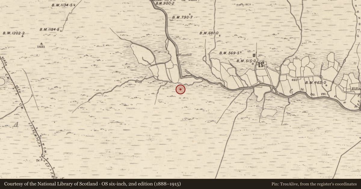 Ordnance Survey six-inch map, 2nd edition (1888–1915) covering the location of Hut site, Curragh More, County Kerry, with a pin at the register's coordinates
