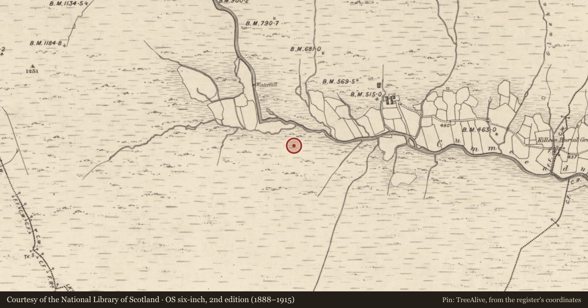 Ordnance Survey six-inch map, 2nd edition (1888–1915) covering the location of Hut site, Curragh More, County Kerry, with a pin at the register's coordinates