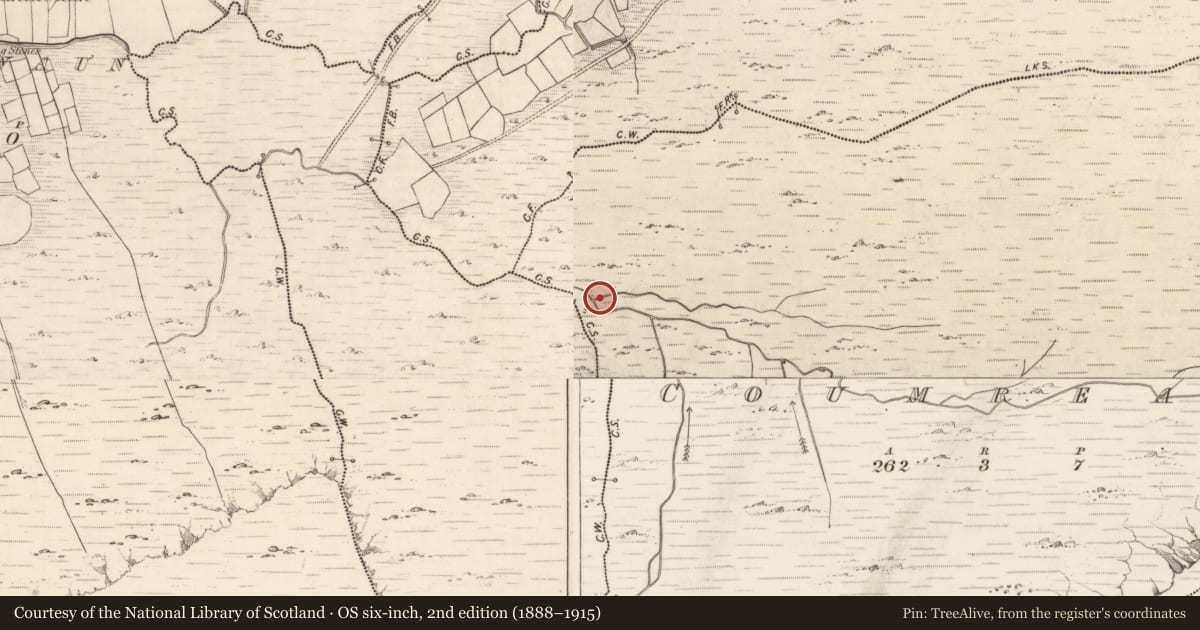 Ordnance Survey six-inch map, 2nd edition (1888–1915) covering the location of Hut site, Coumreagh, County Kerry, with a pin at the register's coordinates