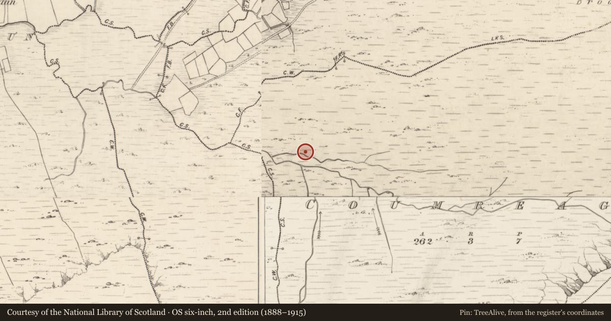 Ordnance Survey six-inch map, 2nd edition (1888–1915) covering the location of Rock art, Coumreagh, County Kerry, with a pin at the register's coordinates