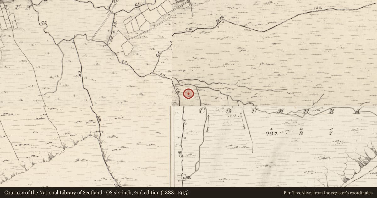 Ordnance Survey six-inch map, 2nd edition (1888–1915) covering the location of Hut site, Coumreagh, County Kerry, with a pin at the register's coordinates