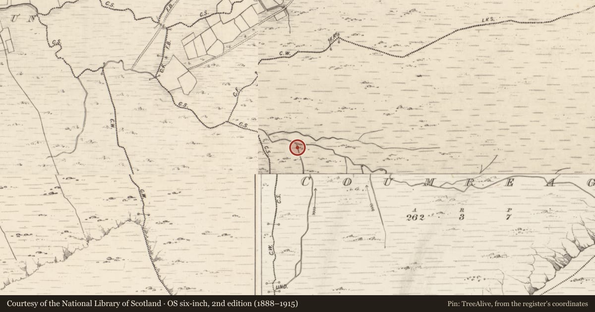 Ordnance Survey six-inch map, 2nd edition (1888–1915) covering the location of Hut site, Coumreagh, County Kerry, with a pin at the register's coordinates