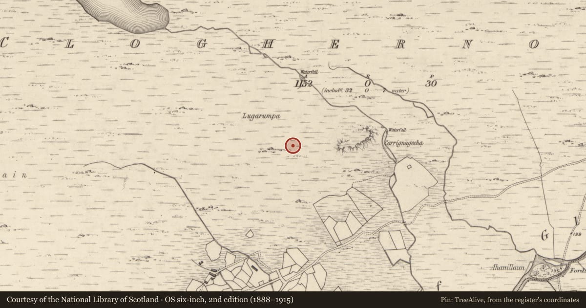 Ordnance Survey six-inch map, 2nd edition (1888–1915) covering the location of Hut site, Cloghernoosh, County Kerry, with a pin at the register's coordinates