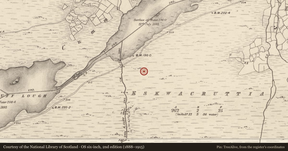 Ordnance Survey six-inch map, 2nd edition (1888–1915) covering the location of Hut site, Eskwacruttia, County Kerry, with a pin at the register's coordinates