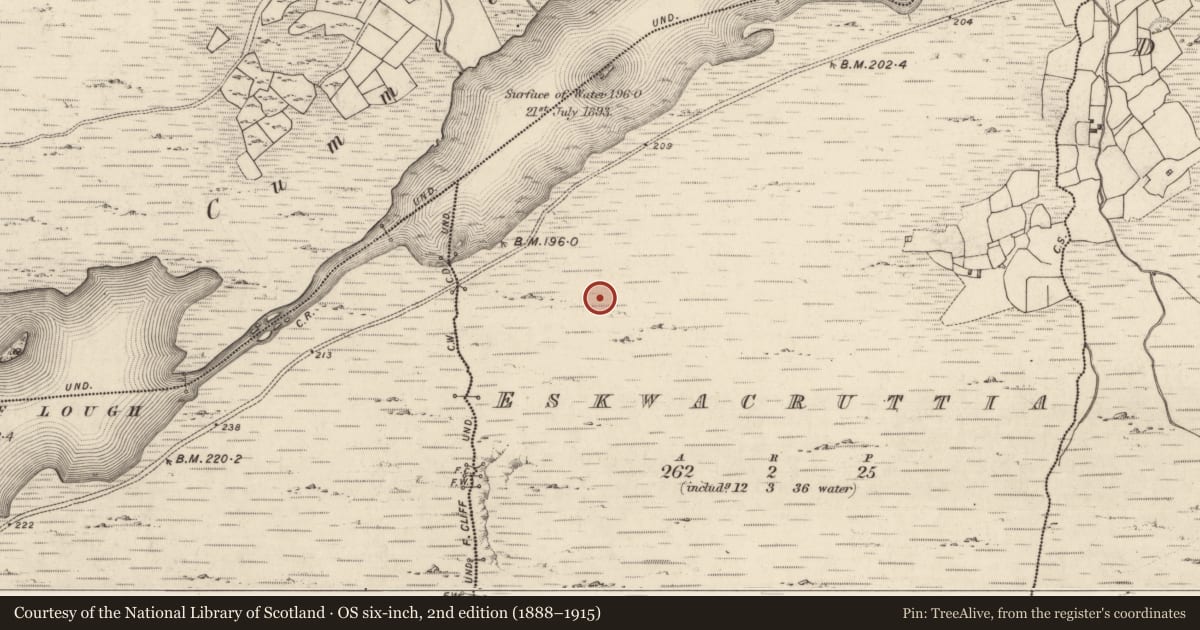 Ordnance Survey six-inch map, 2nd edition (1888–1915) covering the location of Hut site, Eskwacruttia, County Kerry, with a pin at the register's coordinates