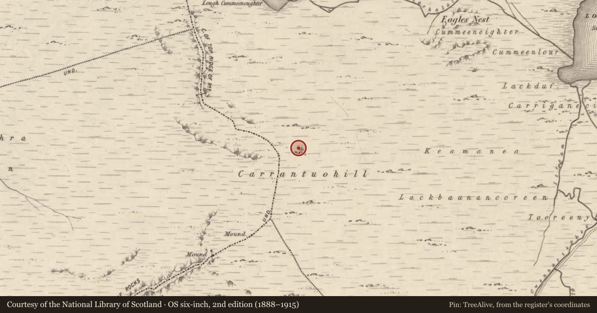 Ordnance Survey six-inch map, 2nd edition (1888–1915) covering the location of Cairn - unclassified, Coomcallee, County Kerry, with a pin at the register's coordinates