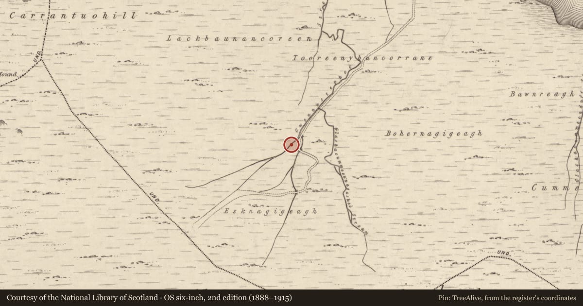 Ordnance Survey six-inch map, 2nd edition (1888–1915) covering the location of Hut site, Coomcallee, County Kerry, with a pin at the register's coordinates
