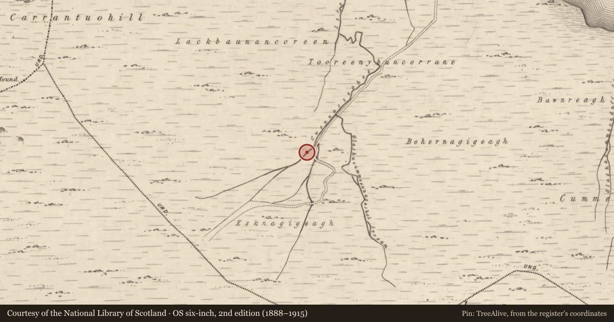 Ordnance Survey six-inch map, 2nd edition (1888–1915) covering the location of Hut site, Coomcallee, County Kerry, with a pin at the register's coordinates