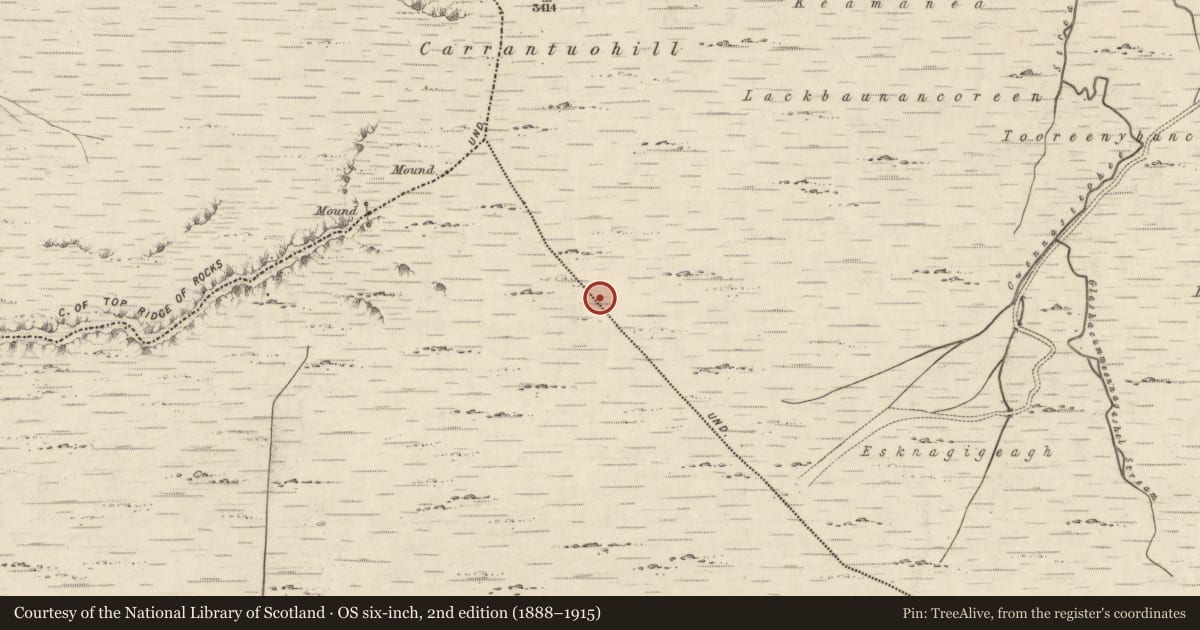 Ordnance Survey six-inch map, 2nd edition (1888–1915) covering the location of Hut site, Coomcallee, County Kerry, with a pin at the register's coordinates