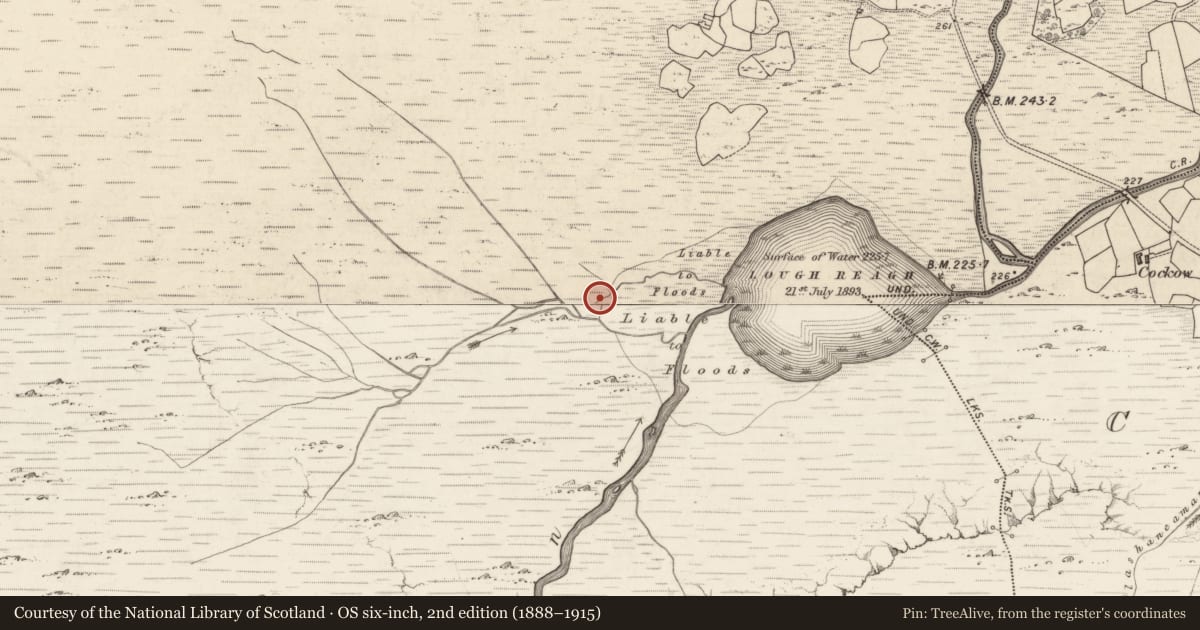 Ordnance Survey six-inch map, 2nd edition (1888–1915) covering the location of Standing stone, Bunbinnia, County Kerry, with a pin at the register's coordinates