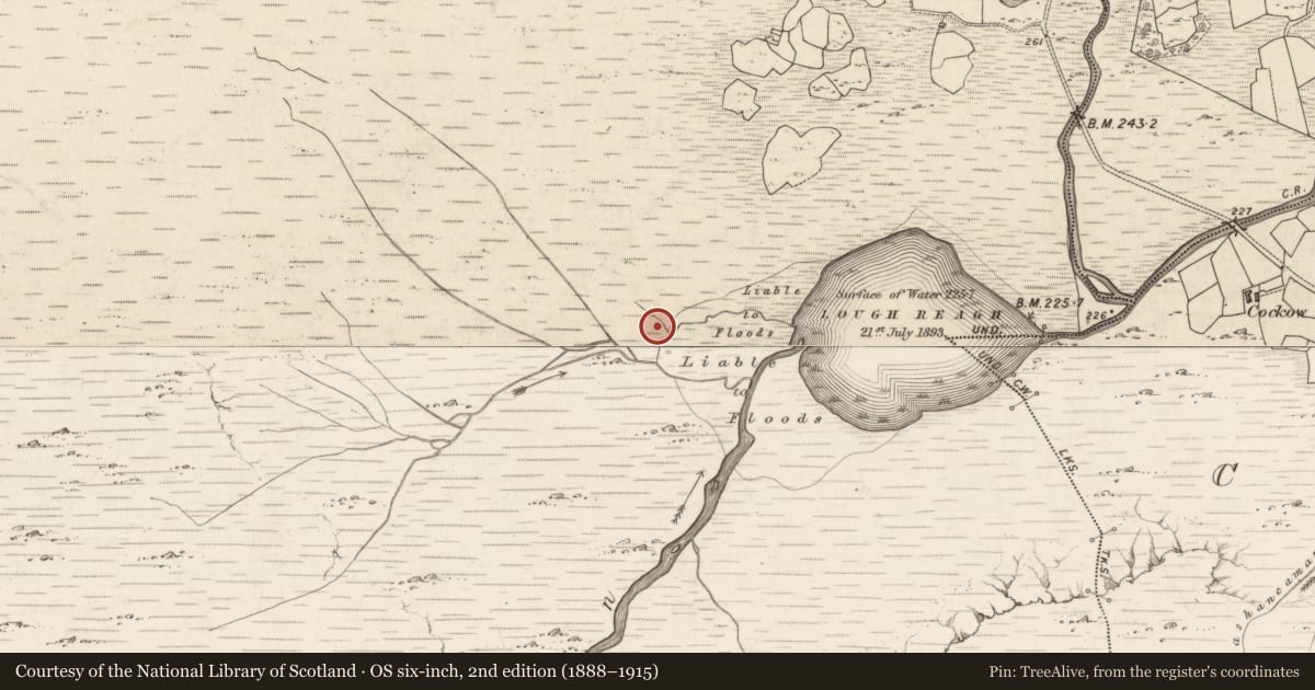 Ordnance Survey six-inch map, 2nd edition (1888–1915) covering the location of Ogham stone, Bunbinnia, County Kerry, with a pin at the register's coordinates