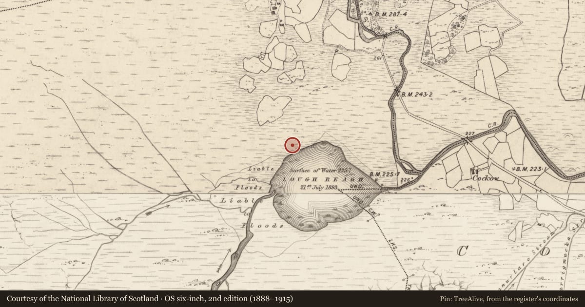Ordnance Survey six-inch map, 2nd edition (1888–1915) covering the location of Hut site, Bunbinnia, County Kerry, with a pin at the register's coordinates