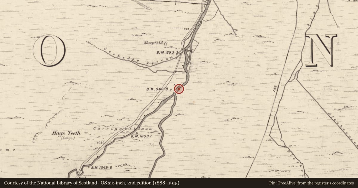 Ordnance Survey six-inch map, 2nd edition (1888–1915) covering the location of Enclosure, Coomcallee, County Kerry, with a pin at the register's coordinates