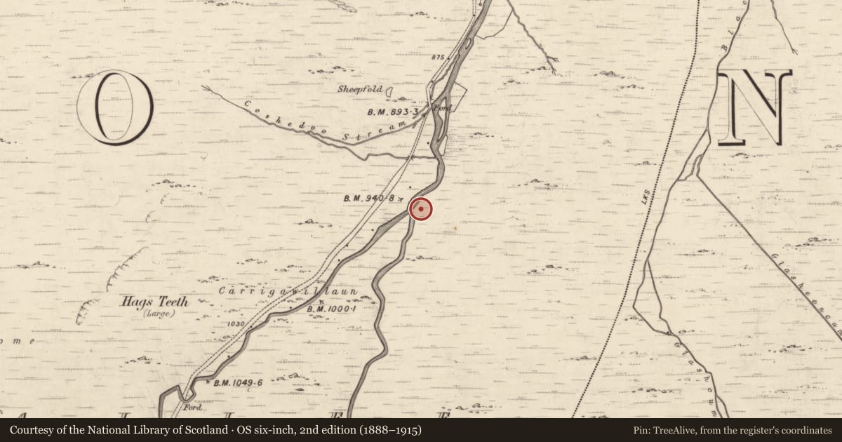 Ordnance Survey six-inch map, 2nd edition (1888–1915) covering the location of Hut site, Coomcallee, County Kerry, with a pin at the register's coordinates