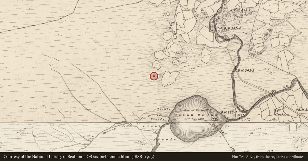 Ordnance Survey six-inch map, 2nd edition (1888–1915) covering the location of Standing stone, Bunbinnia, County Kerry, with a pin at the register's coordinates