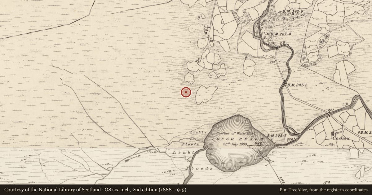Ordnance Survey six-inch map, 2nd edition (1888–1915) covering the location of Hut site, Bunbinnia, County Kerry, with a pin at the register's coordinates