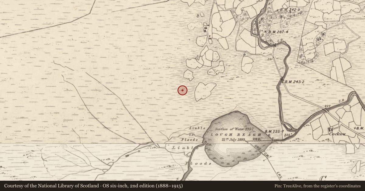 Ordnance Survey six-inch map, 2nd edition (1888–1915) covering the location of Charcoal-making site, Bunbinnia, County Kerry, with a pin at the register's coordinates