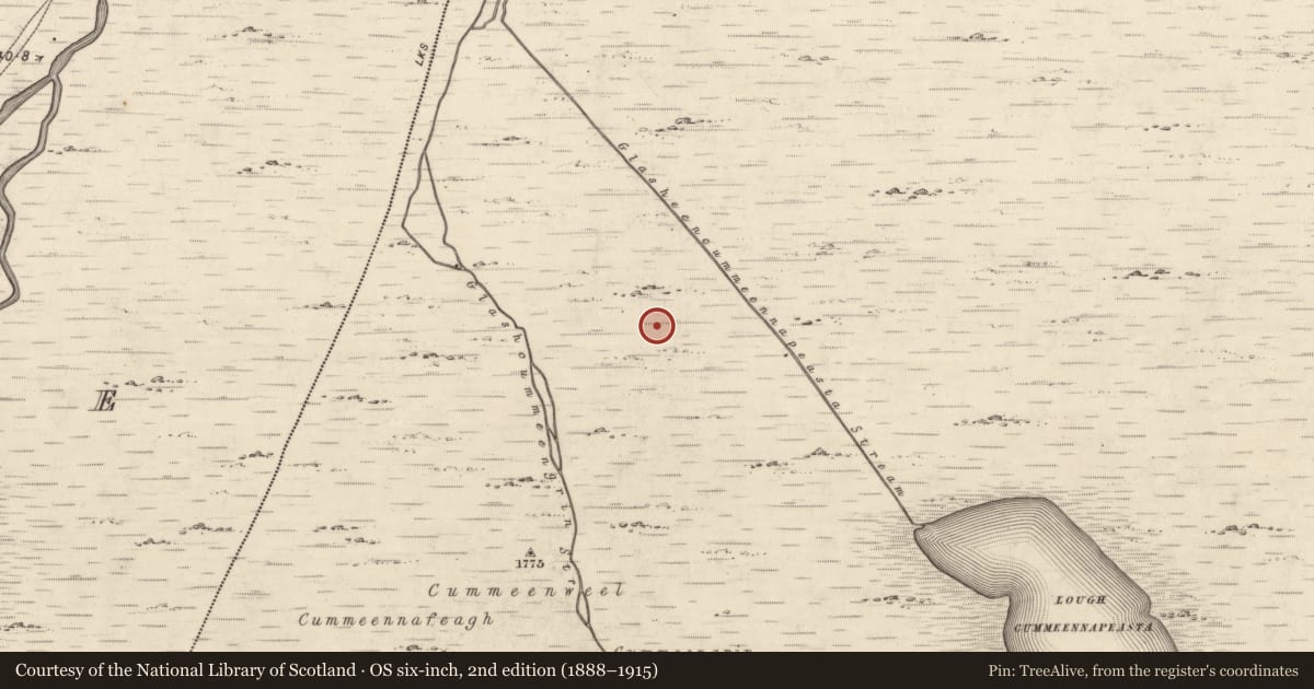 Ordnance Survey six-inch map, 2nd edition (1888–1915) covering the location of Rock shelter, Meallis, County Kerry, with a pin at the register's coordinates