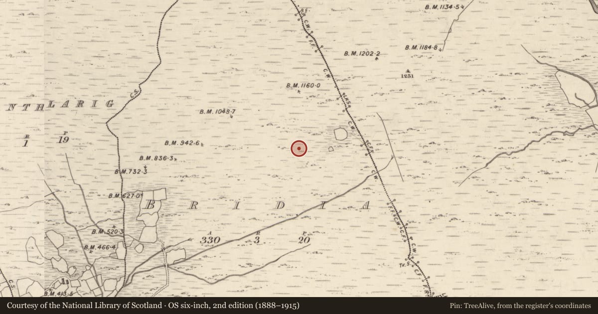 Ordnance Survey six-inch map, 2nd edition (1888–1915) covering the location of Hut site, Bridia, County Kerry, with a pin at the register's coordinates