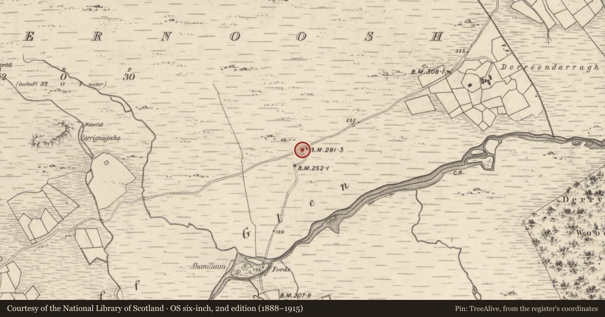 Ordnance Survey six-inch map, 2nd edition (1888–1915) covering the location of Mass-rock, Cloghernoosh, County Kerry, with a pin at the register's coordinates