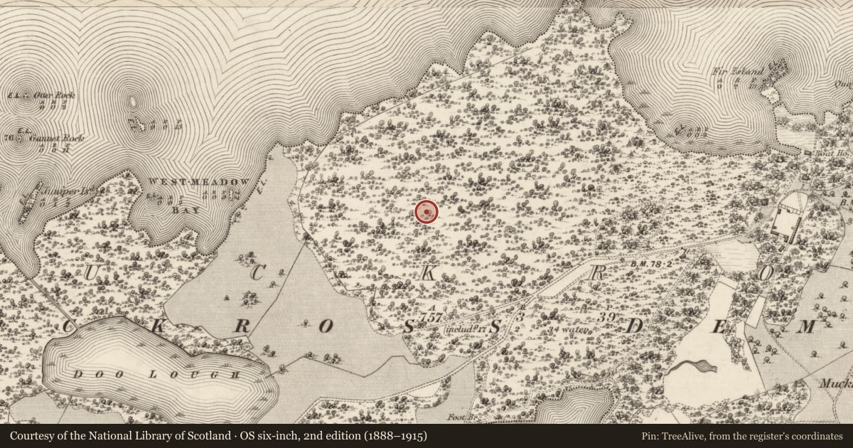 Ordnance Survey six-inch map, 2nd edition (1888–1915) covering the location of Ringfort - rath, Muckross, County Kerry, with a pin at the register's coordinates