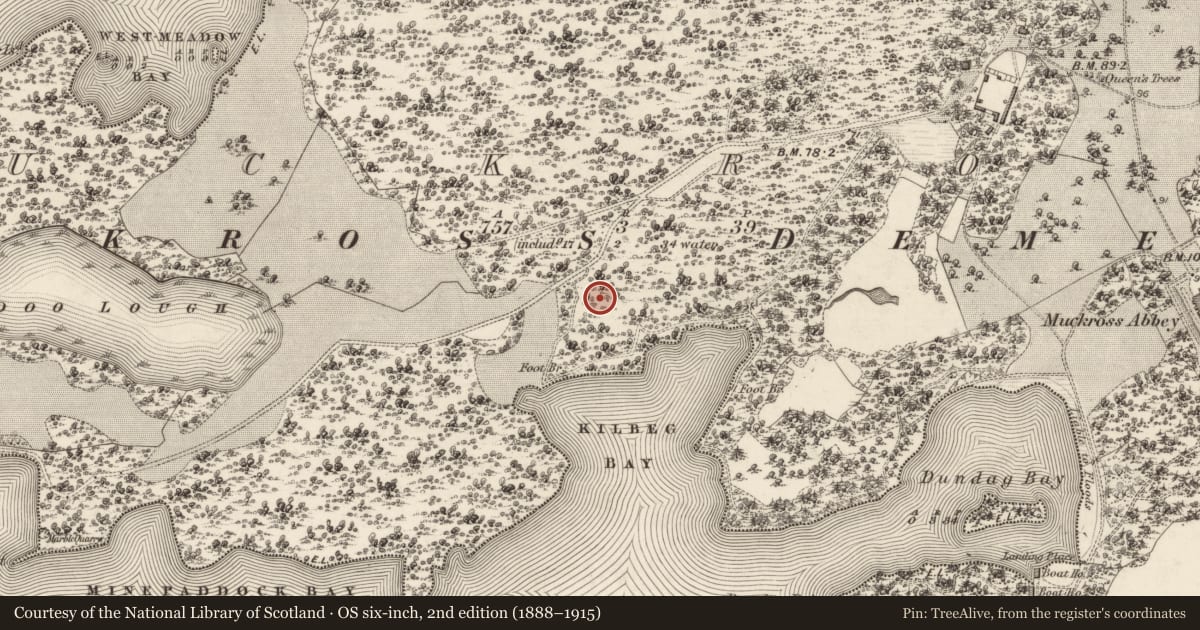 Ordnance Survey six-inch map, 2nd edition (1888–1915) covering the location of Hut site, Muckross, County Kerry, with a pin at the register's coordinates