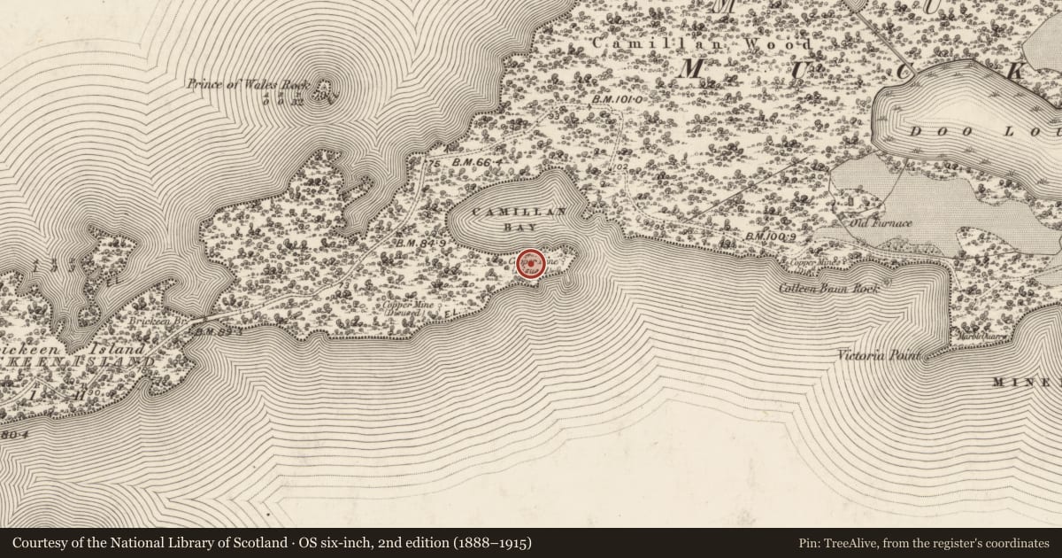 Ordnance Survey six-inch map, 2nd edition (1888–1915) covering the location of Mine - copper, Muckross, County Kerry, with a pin at the register's coordinates