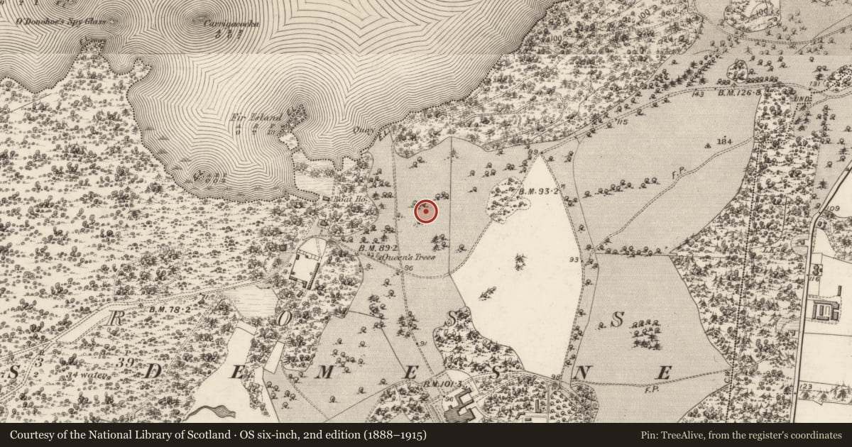 Ordnance Survey six-inch map, 2nd edition (1888–1915) covering the location of Country house, Muckross, County Kerry, with a pin at the register's coordinates