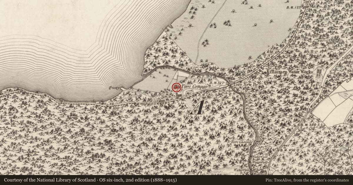 Ordnance Survey six-inch map, 2nd edition (1888–1915) covering the location of Country house, Torc, County Kerry, with a pin at the register's coordinates