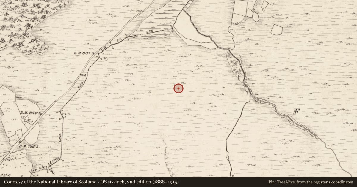 Ordnance Survey six-inch map, 2nd edition (1888–1915) covering the location of Clochan, Cores, County Kerry, with a pin at the register's coordinates