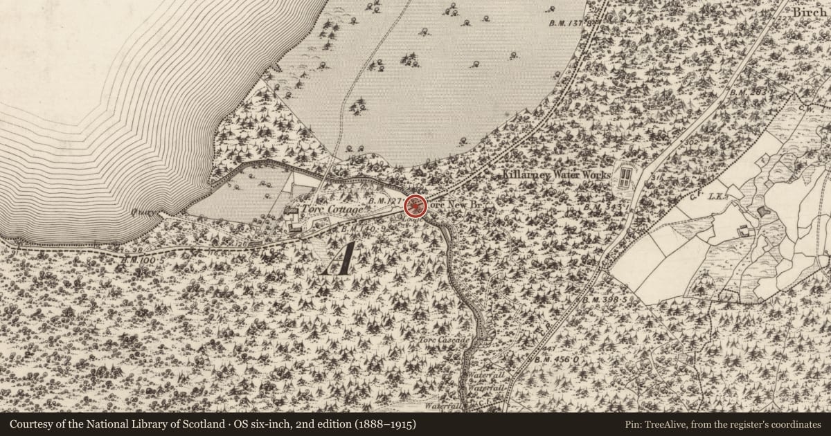 Ordnance Survey six-inch map, 2nd edition (1888–1915) covering the location of Bridge, County Kerry, with a pin at the register's coordinates