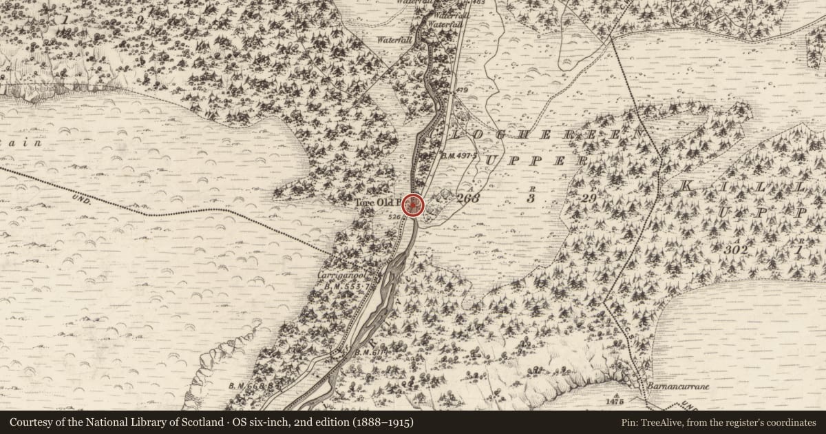 Ordnance Survey six-inch map, 2nd edition (1888–1915) covering the location of Bridge, Torc, Cloghereen Upper, County Kerry, with a pin at the register's coordinates