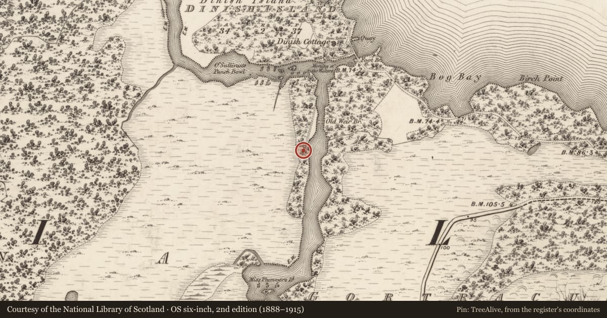 Ordnance Survey six-inch map, 2nd edition (1888–1915) covering the location of Quay, Glena, County Kerry, with a pin at the register's coordinates