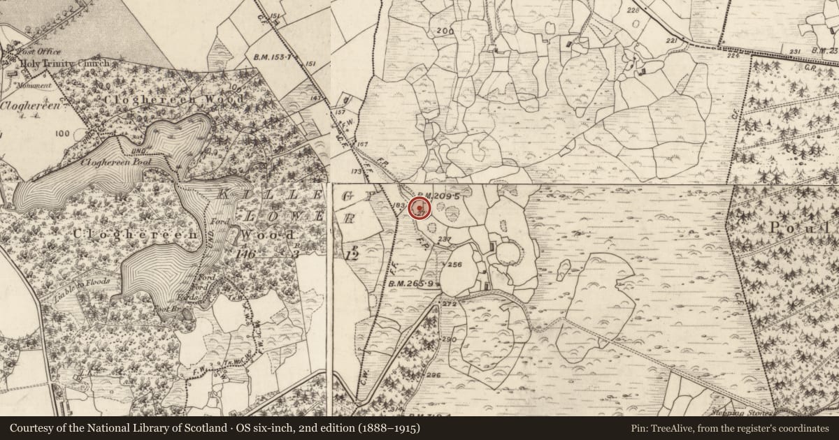 Ordnance Survey six-inch map, 2nd edition (1888–1915) covering the location of Ringfort - cashel, Gortagullane, County Kerry, with a pin at the register's coordinates