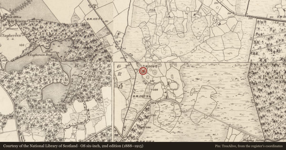 Ordnance Survey six-inch map, 2nd edition (1888–1915) covering the location of Hut site, Gortagullane, County Kerry, with a pin at the register's coordinates