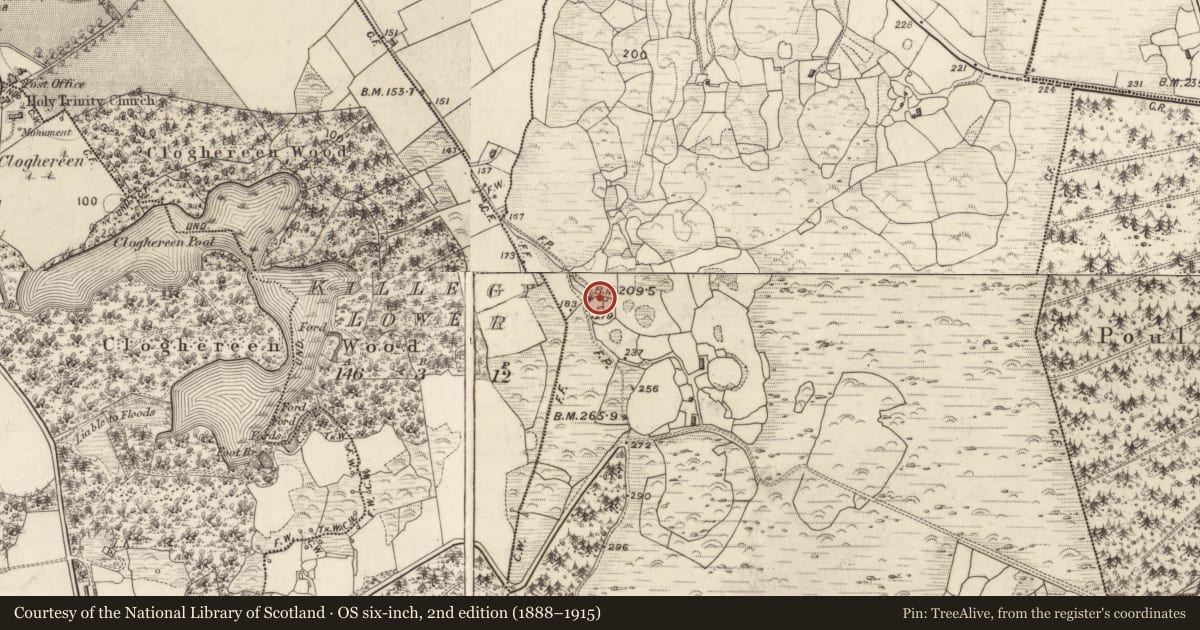 Ordnance Survey six-inch map, 2nd edition (1888–1915) covering the location of Hut site, Gortagullane, County Kerry, with a pin at the register's coordinates