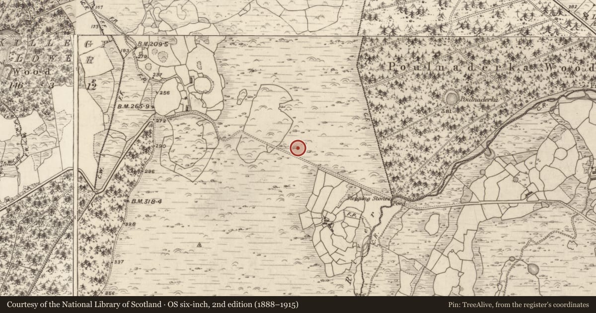 Ordnance Survey six-inch map, 2nd edition (1888–1915) covering the location of Enclosure, Gortagullane, County Kerry, with a pin at the register's coordinates
