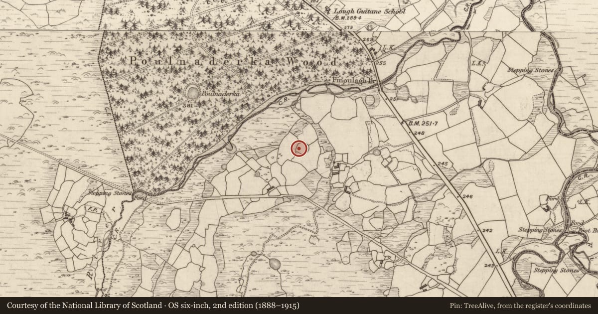Ordnance Survey six-inch map, 2nd edition (1888–1915) covering the location of Ringfort - cashel, Coolies, County Kerry, with a pin at the register's coordinates
