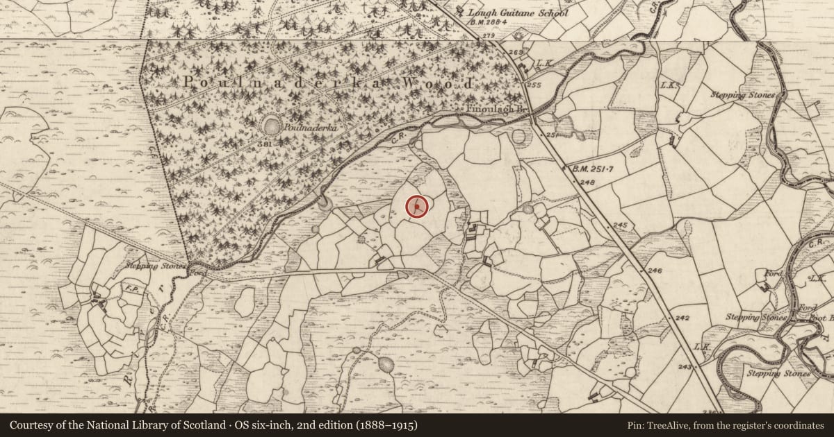 Ordnance Survey six-inch map, 2nd edition (1888–1915) covering the location of Hut site, Coolies, County Kerry, with a pin at the register's coordinates