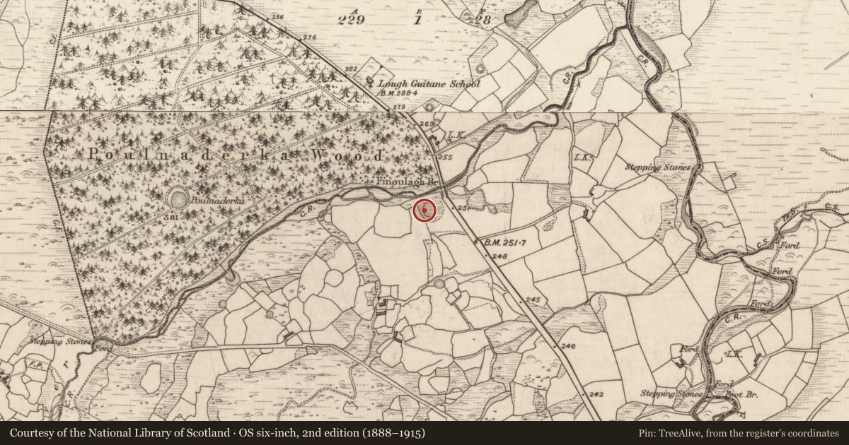 Ordnance Survey six-inch map, 2nd edition (1888–1915) covering the location of Ringfort - rath, Coolies, County Kerry, with a pin at the register's coordinates