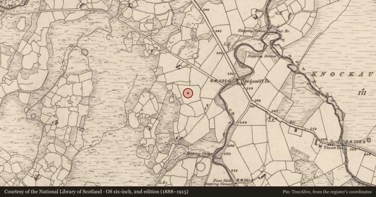 Ordnance Survey six-inch map, 2nd edition (1888–1915) covering the location of Standing stone - pair, Coolies, County Kerry, with a pin at the register's coordinates